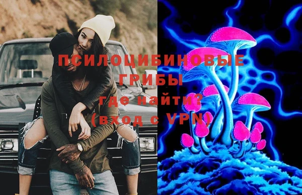 метамфетамин Ельня