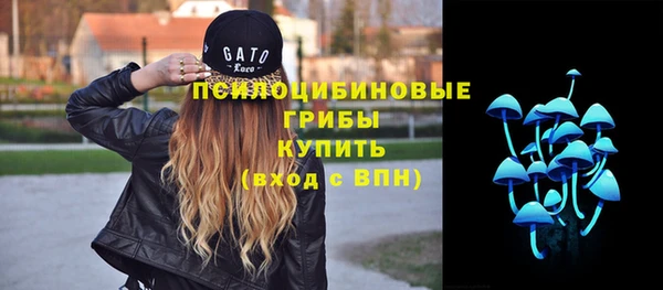 кокс Елизово