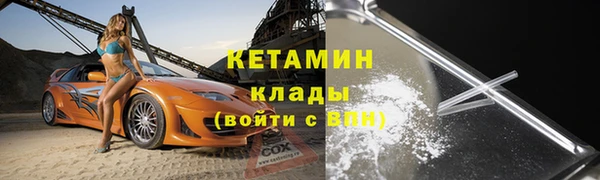твердый Тайга