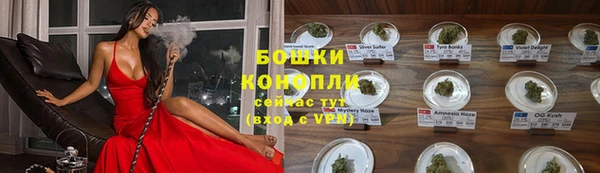 кокс Елизово