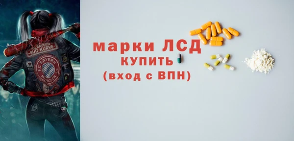 кокс Елизово