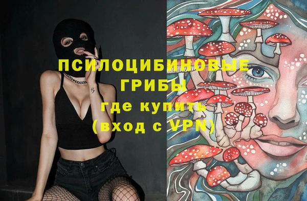 кокс Елизово