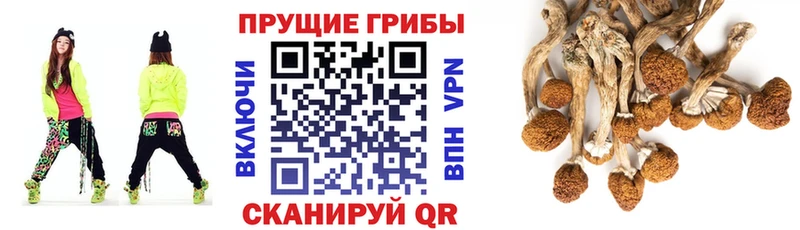 Псилоцибиновые грибы MAGIC MUSHROOMS  Себеж 